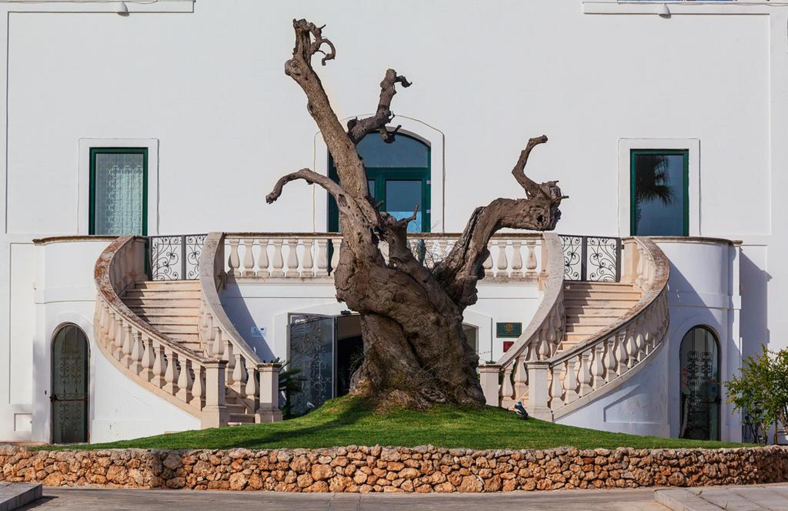 Masseria Relais Del Cardinale Fasano Exterior photo